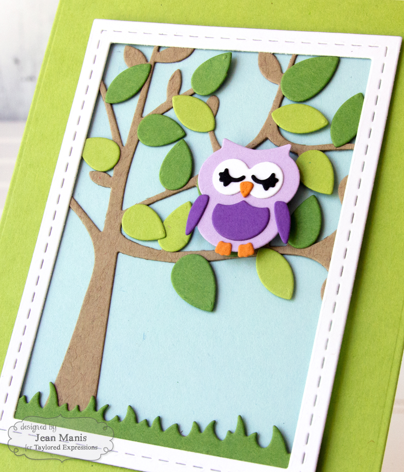 Taylored Expressions Owl Card
