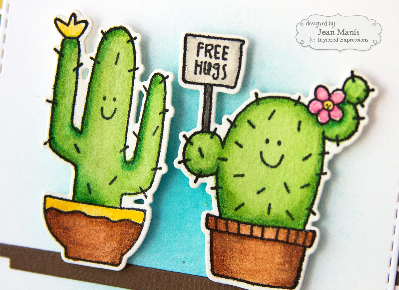 Taylored Expressions Cactus Apology Card