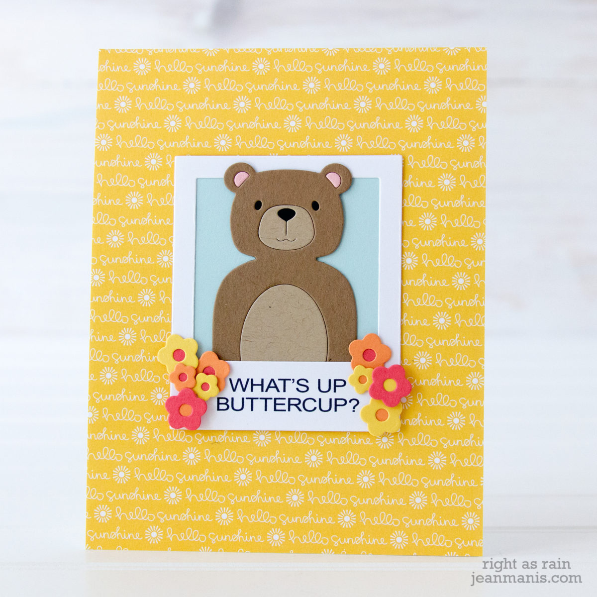 What’s Up Buttercup – Die-cut Picture Book Bear