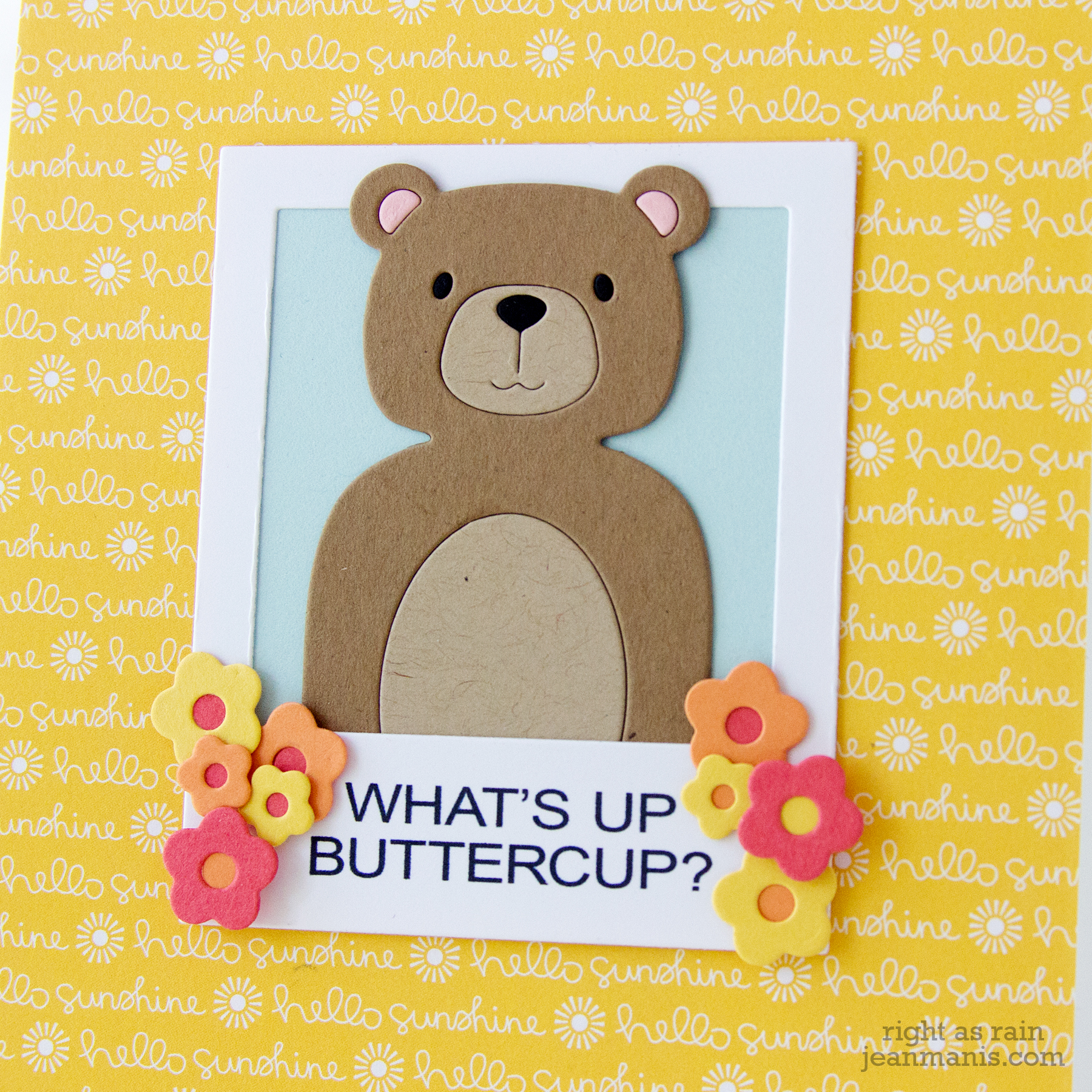 What's Up Buttercup - Die-cut Picture Book Bear