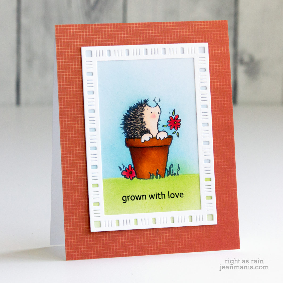 Happy Hedgehog – Grown with Love