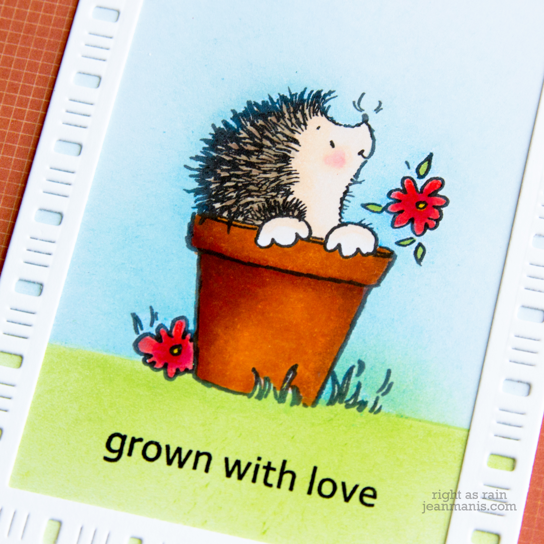 Happy Hedgehog - Grown with Love