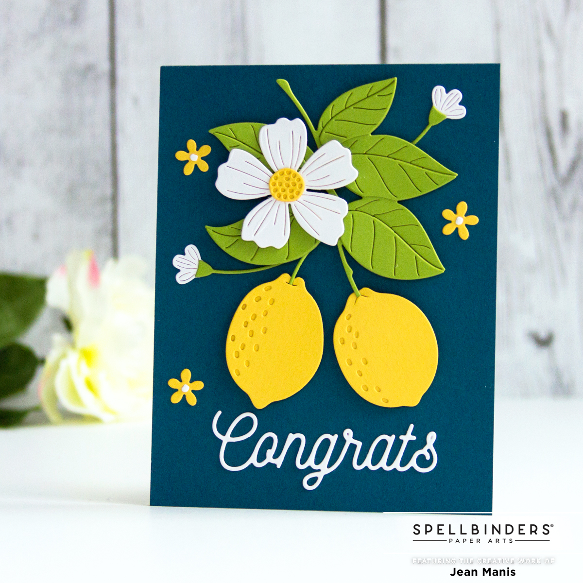 Spellbinders Be Bold Collection
