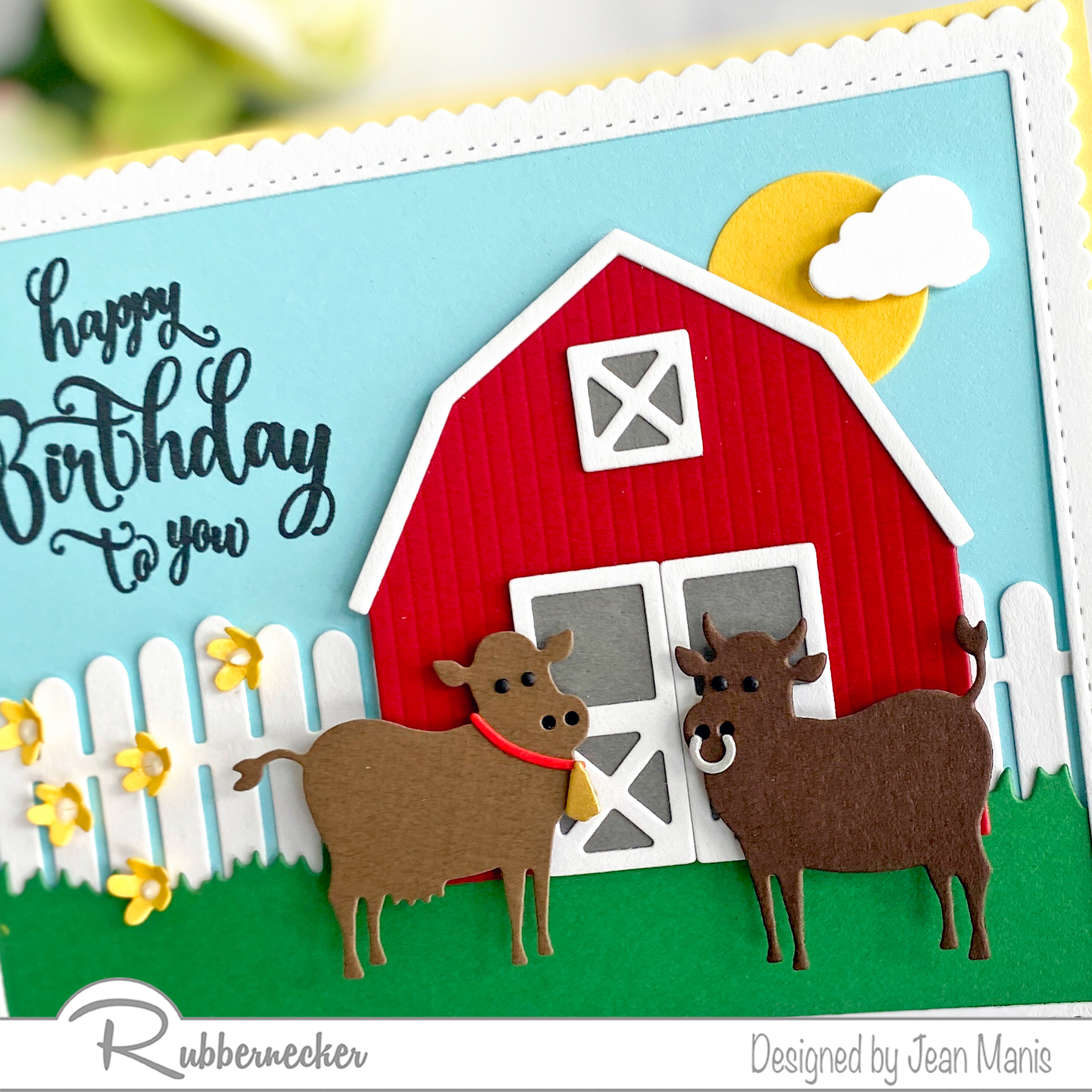 Rubbernecker | Farmyard Birthday Card