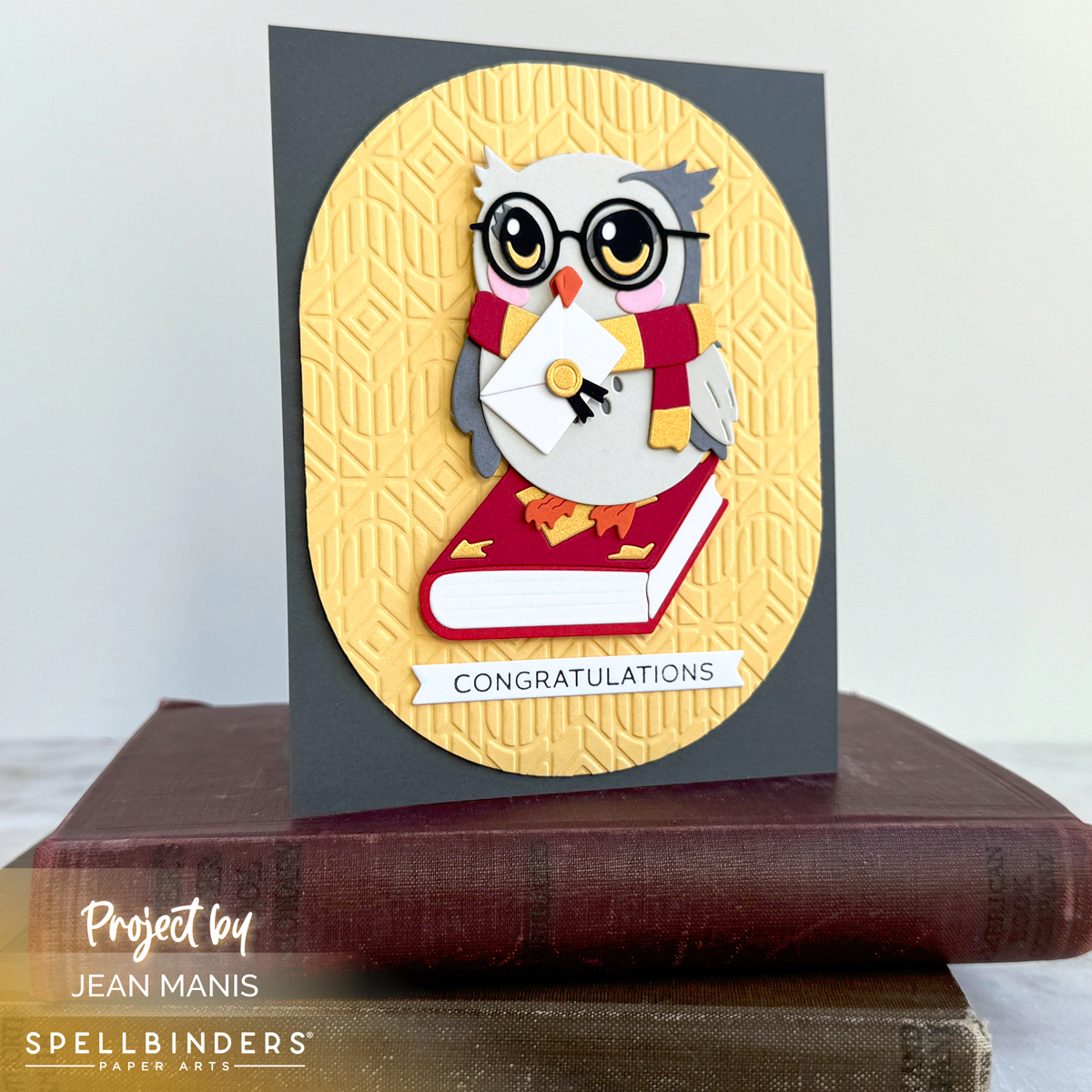 Spellbinders | Wise Owl Small Die