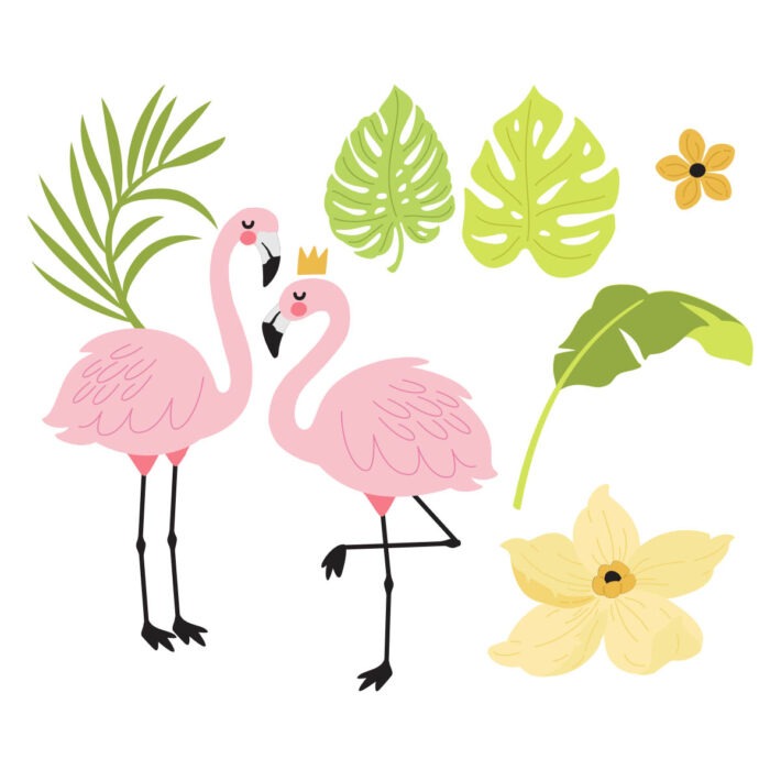 Spellbinders | Tropical Flamingos