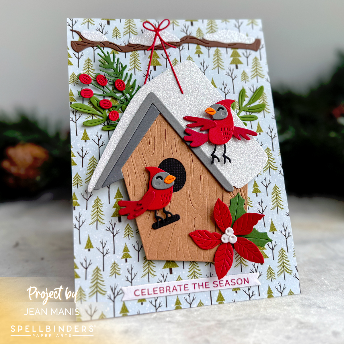 Spellbinders | Snowcapped Holidays