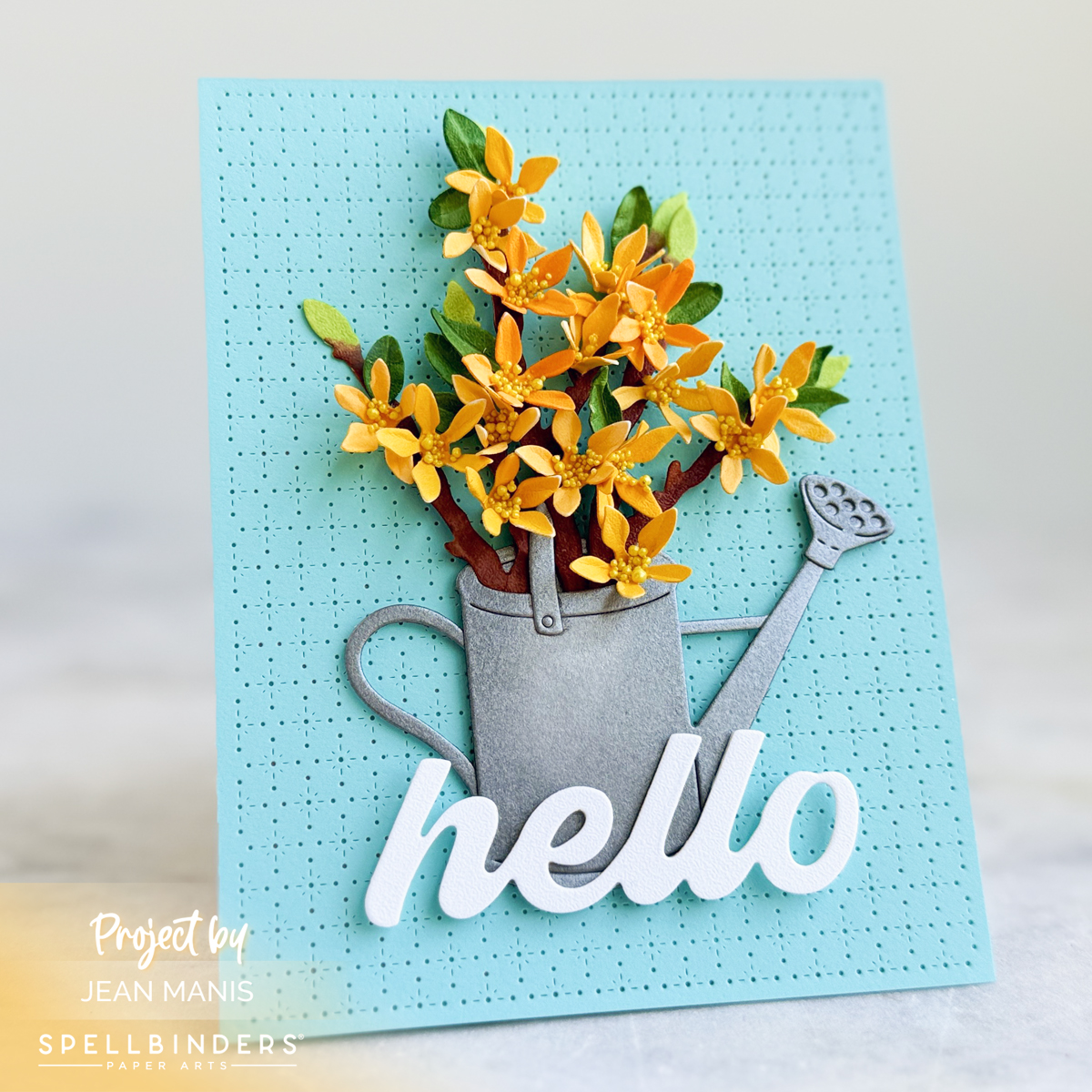 Hello Card with Forsythia