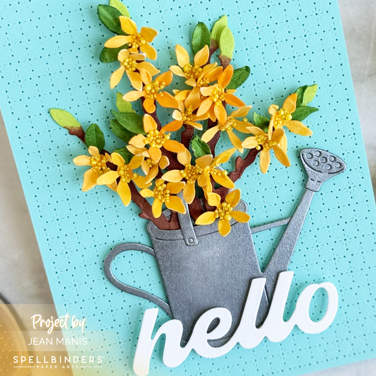 Hello Card with Forsythia