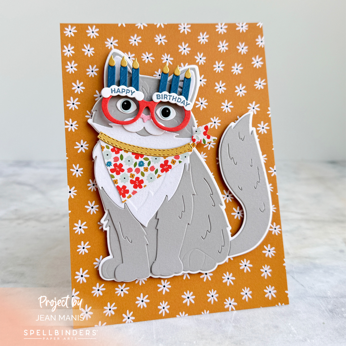 Spellbinders | Purr-fect Birthday Card