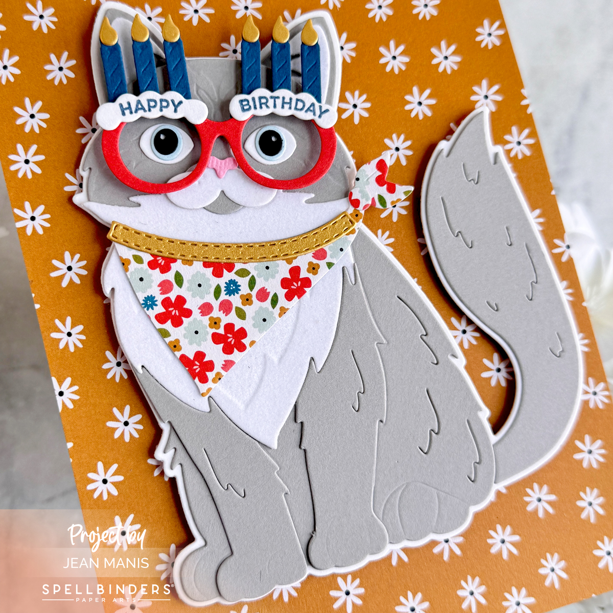 Spellbinders | Purr-fect Birthday Card