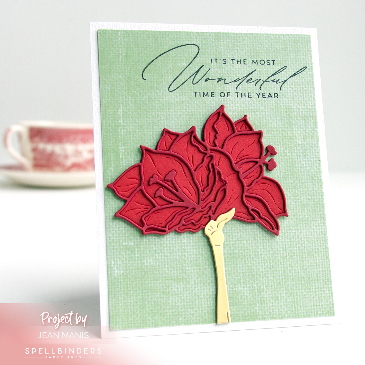 Elegant Amaryllis Christmas Card