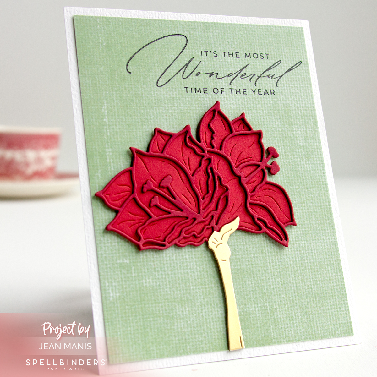 Elegant Amaryllis Christmas Card