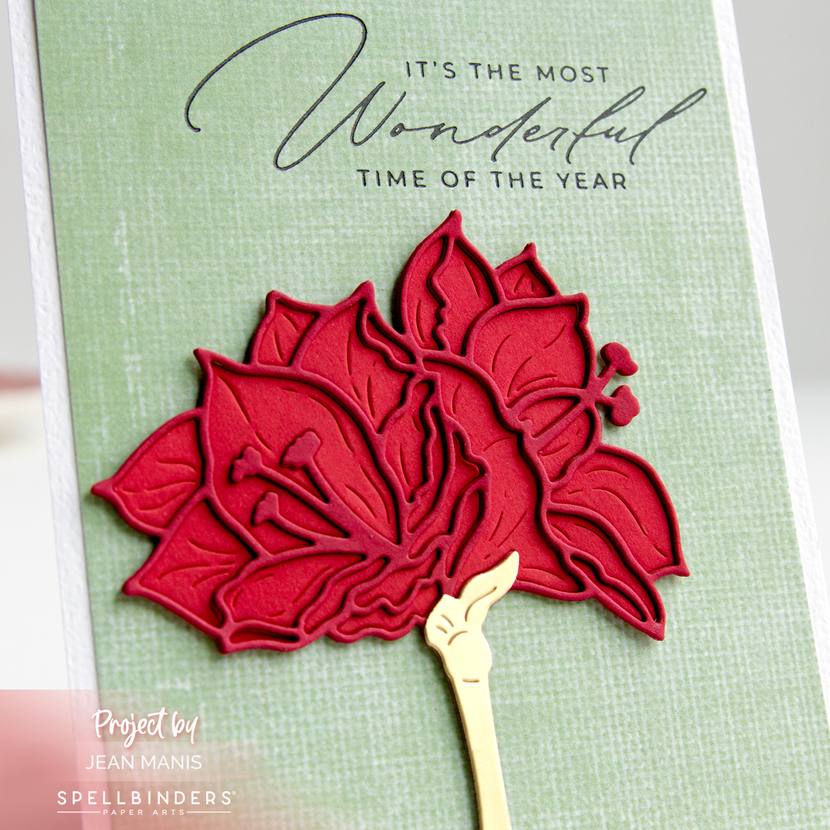 Elegant Amaryllis Christmas Card