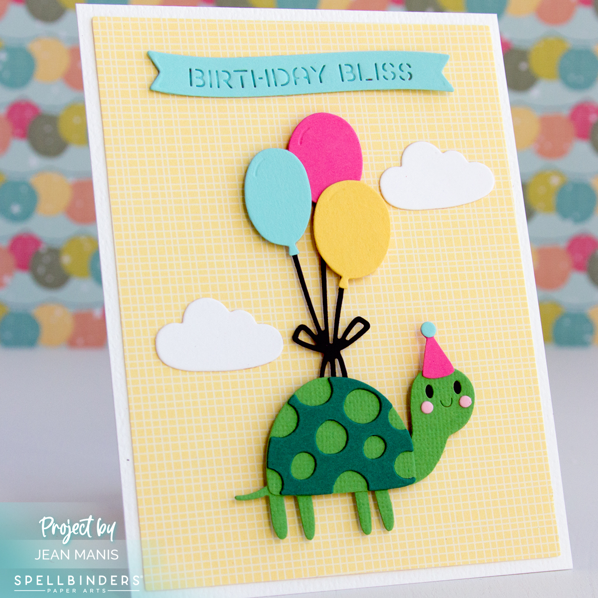 Up, Up, and Away Turtle Birthday Card