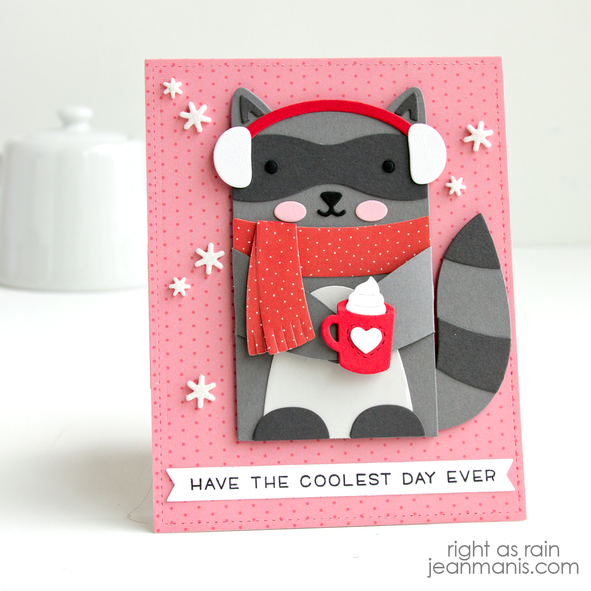 Lawn Fawn | Cozy Winter Raccoon Card