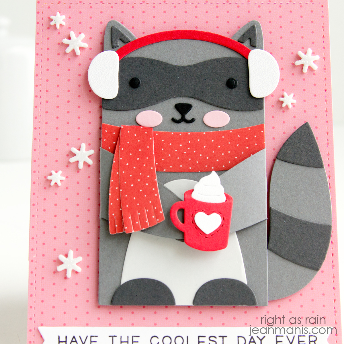 Lawn Fawn | Cozy Winter Raccoon Card