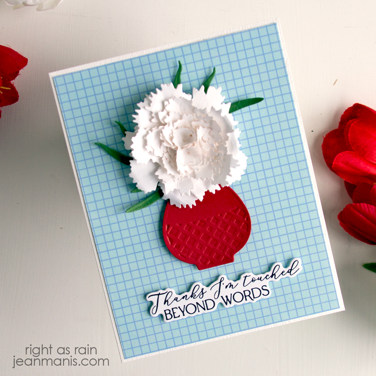 Statement Carnation in a Vase