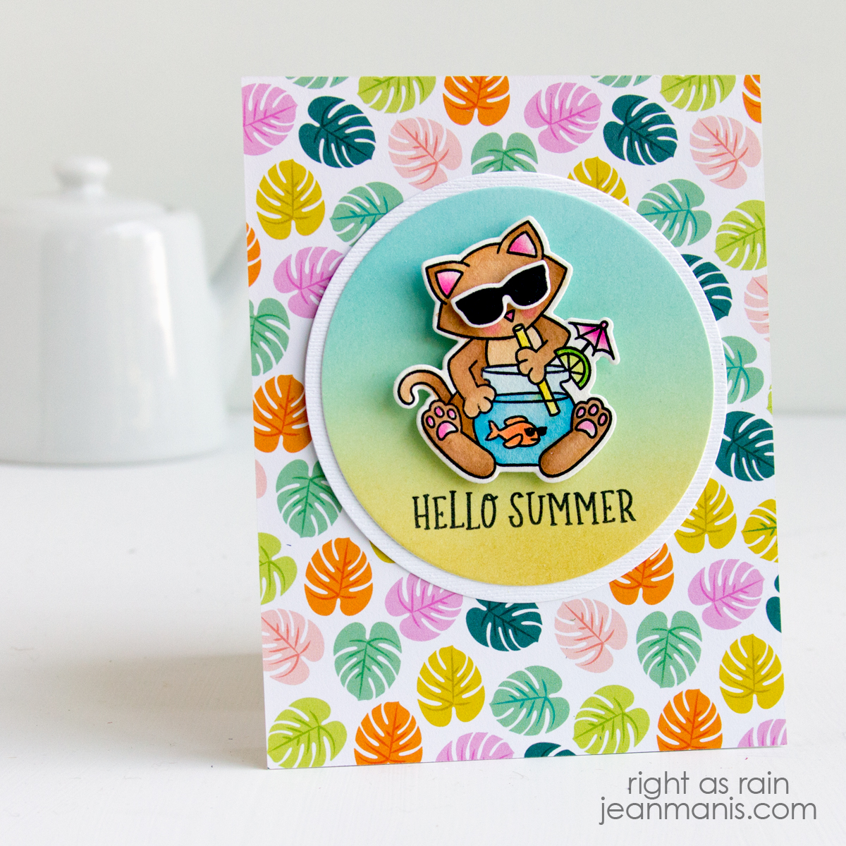 Newton's Nook | Purrfect Day