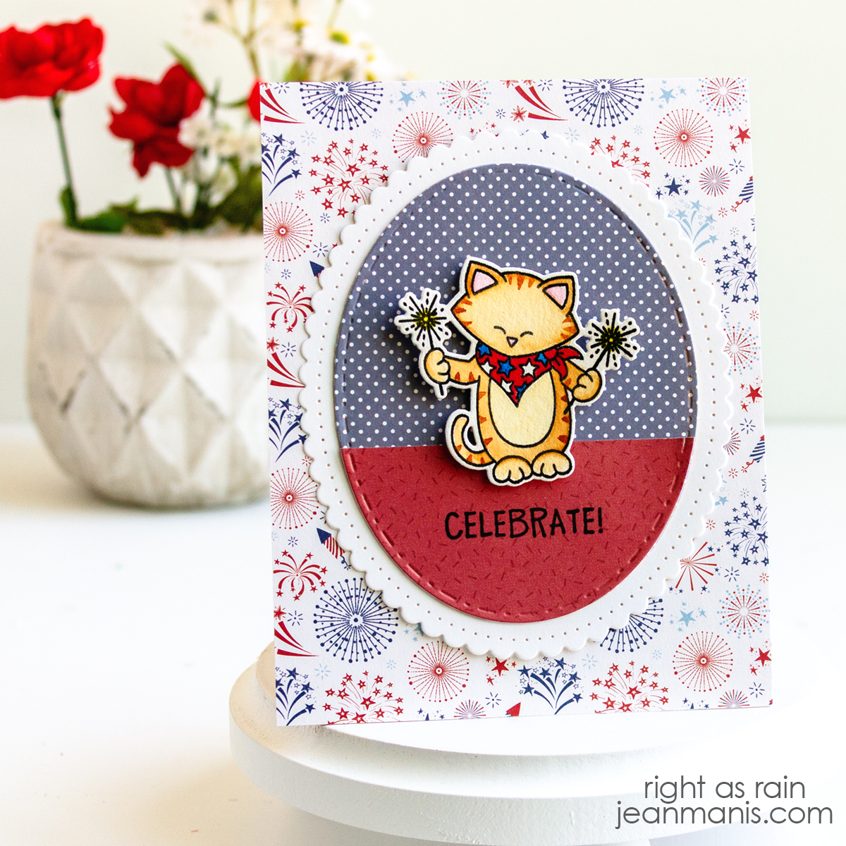 Newton's Nook | Cat and Sparklers Card