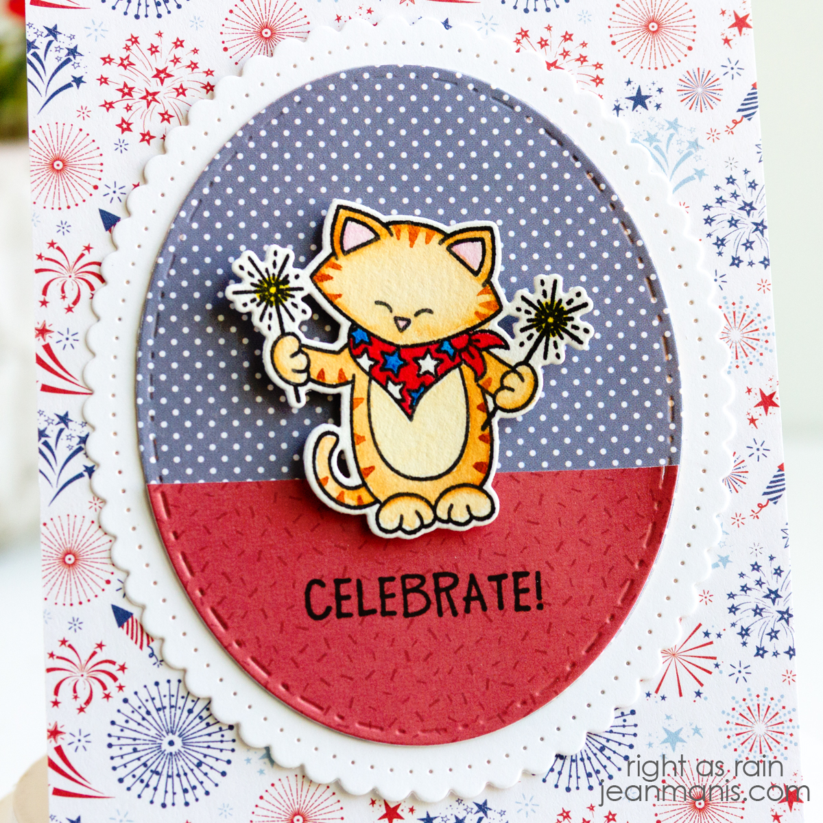 Newton's Nook | Cat and Sparklers Card