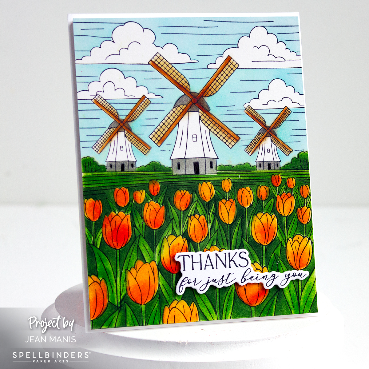 Spellbinders | Tulip Fields in Bloom