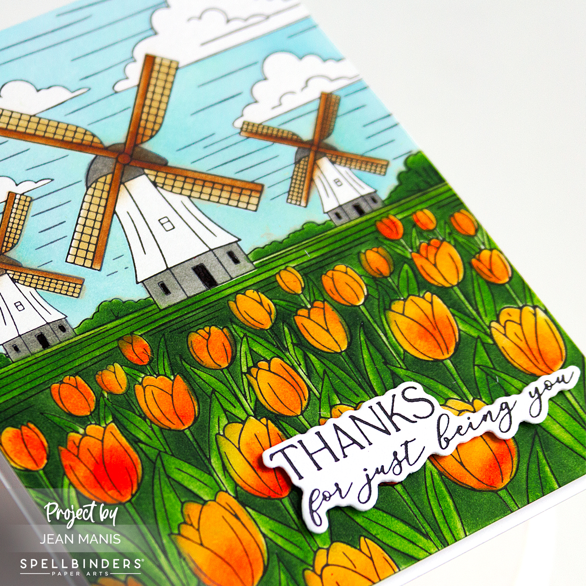 Spellbinders | Tulip Fields in Bloom