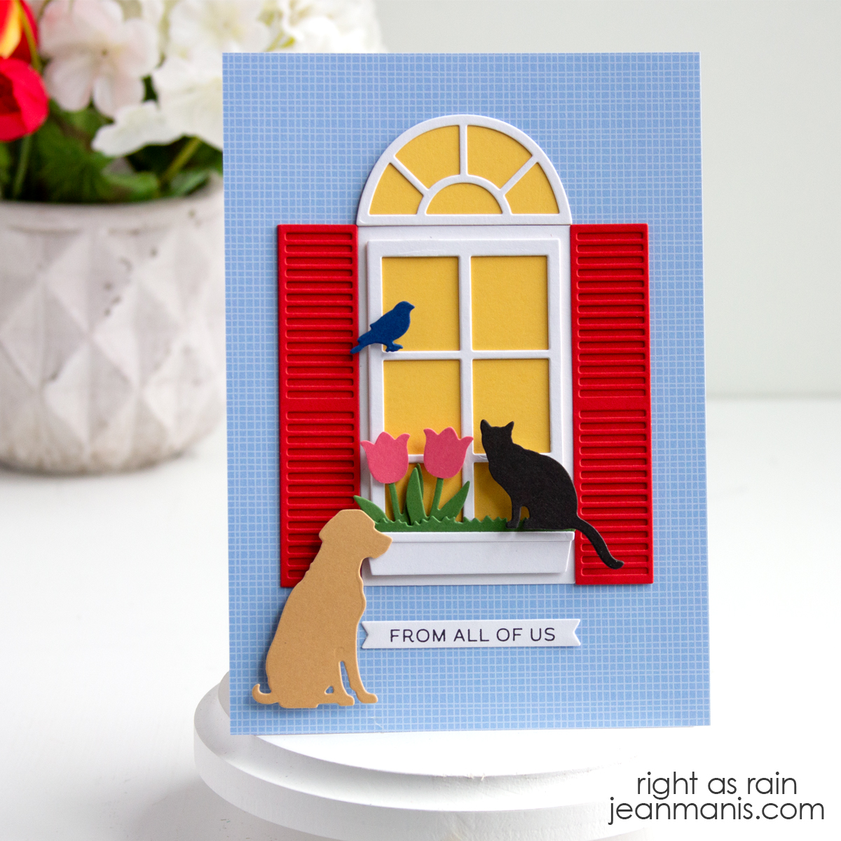 Elizabeth Craft | Window Scene