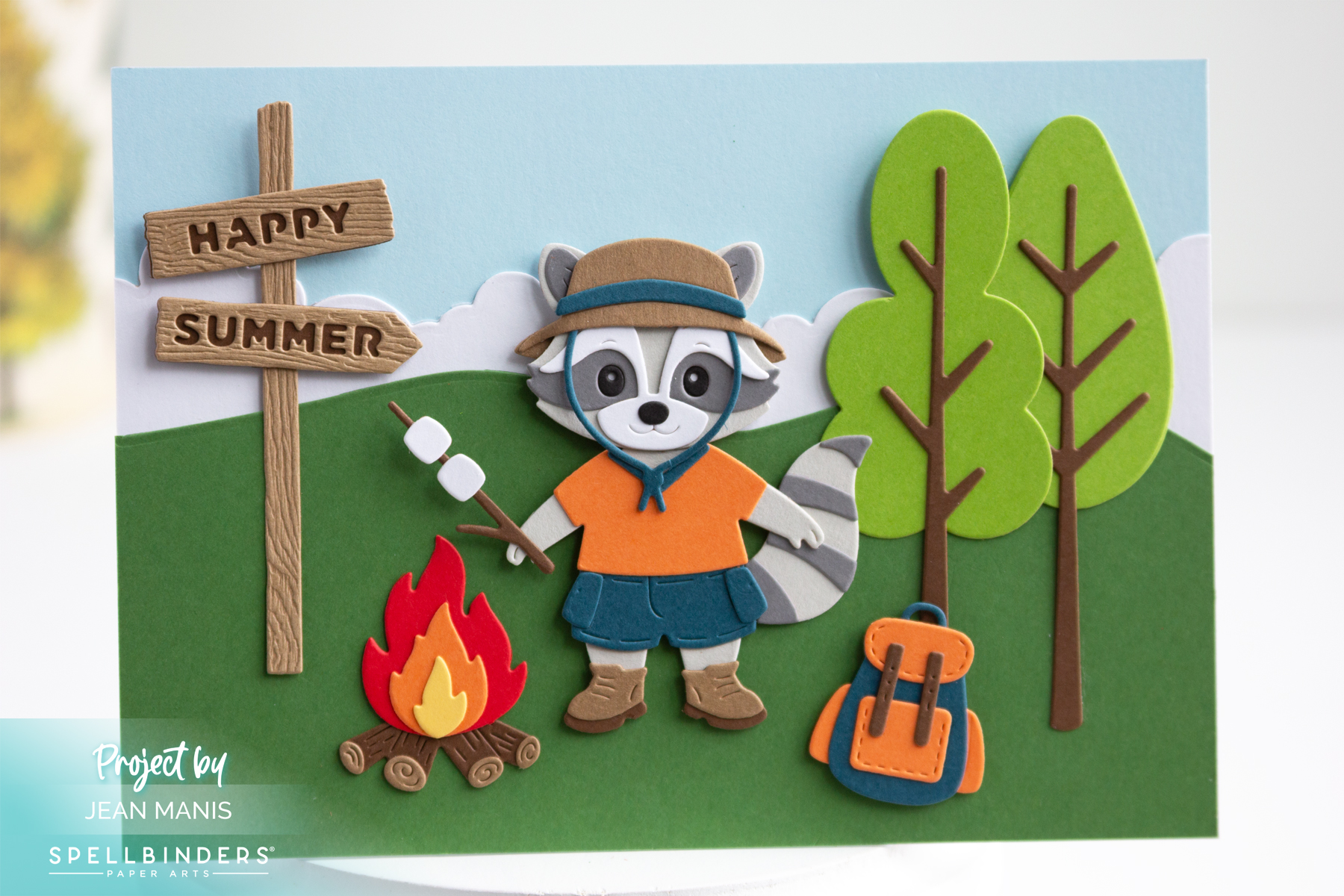 Spellbinders | Happy Summer Raccoon