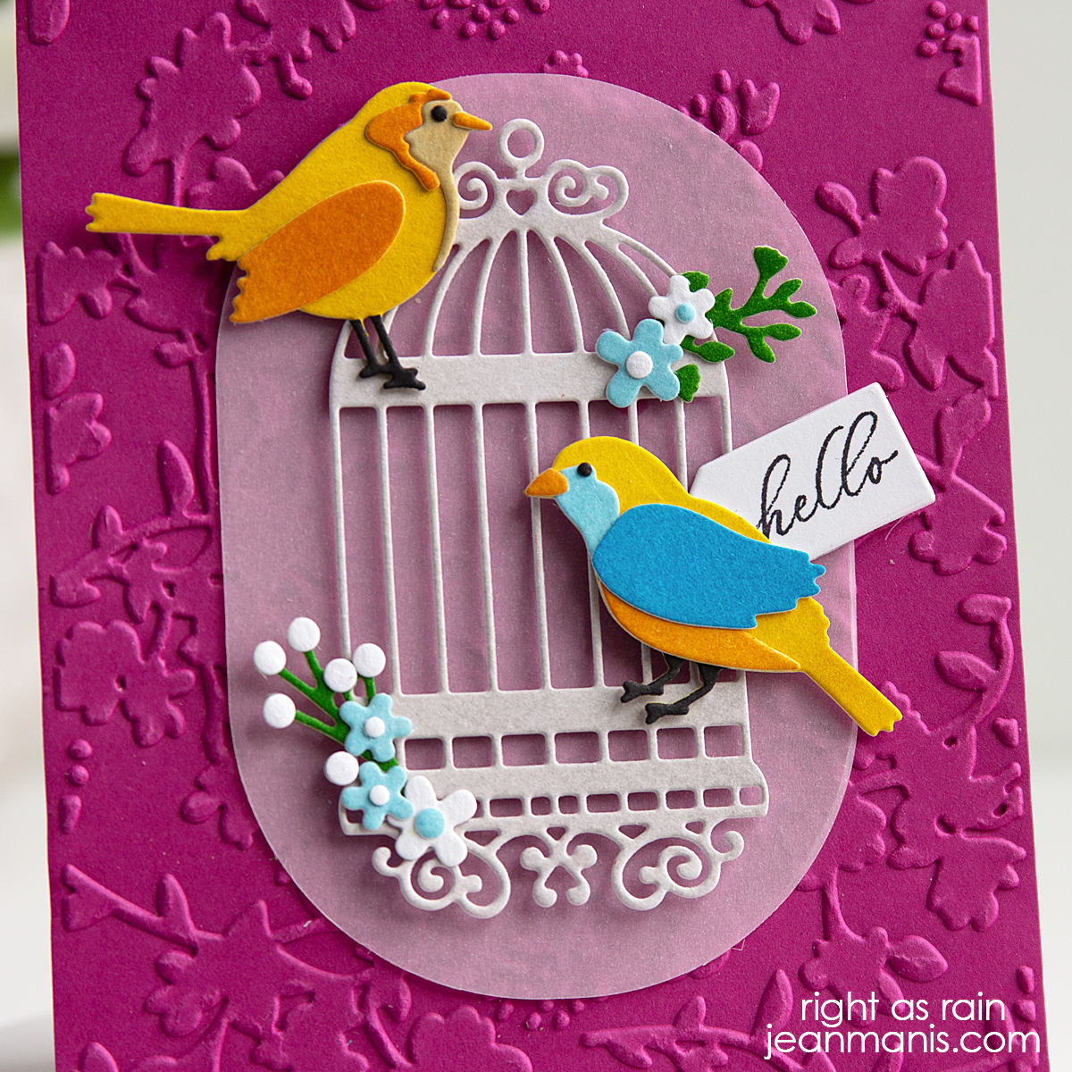 Elizabeth Craft | Feathered Friends Hello